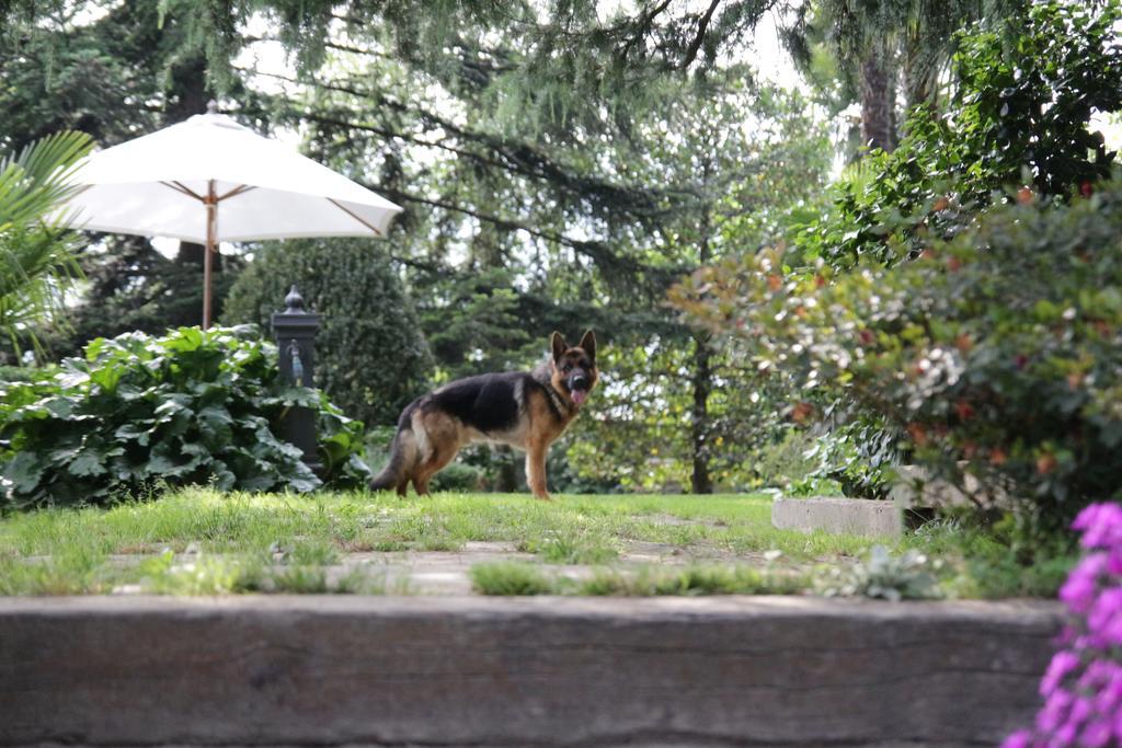 B&B Casa Carla Pinerolo ภายนอก รูปภาพ